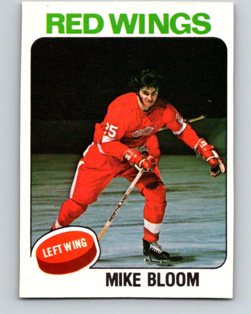 1975-76 O-Pee-Chee #376 Mike Bloom Detroit Red Wings V6858