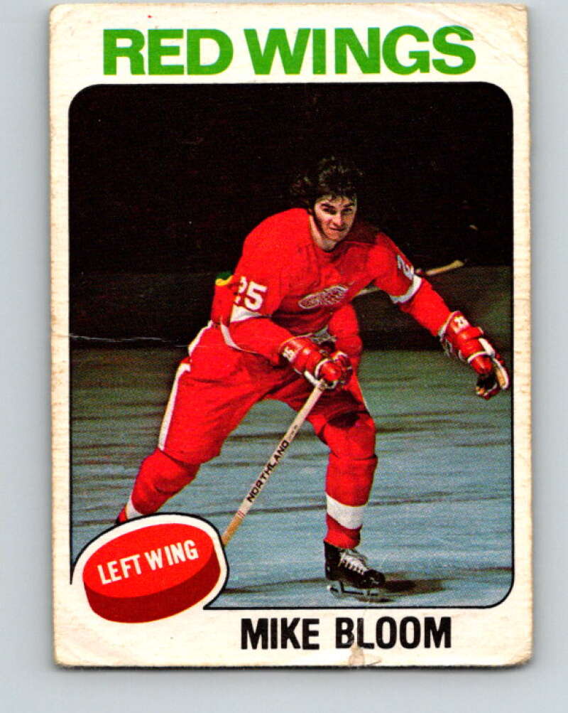 1975-76 O-Pee-Chee #376 Mike Bloom Detroit Red Wings V6859