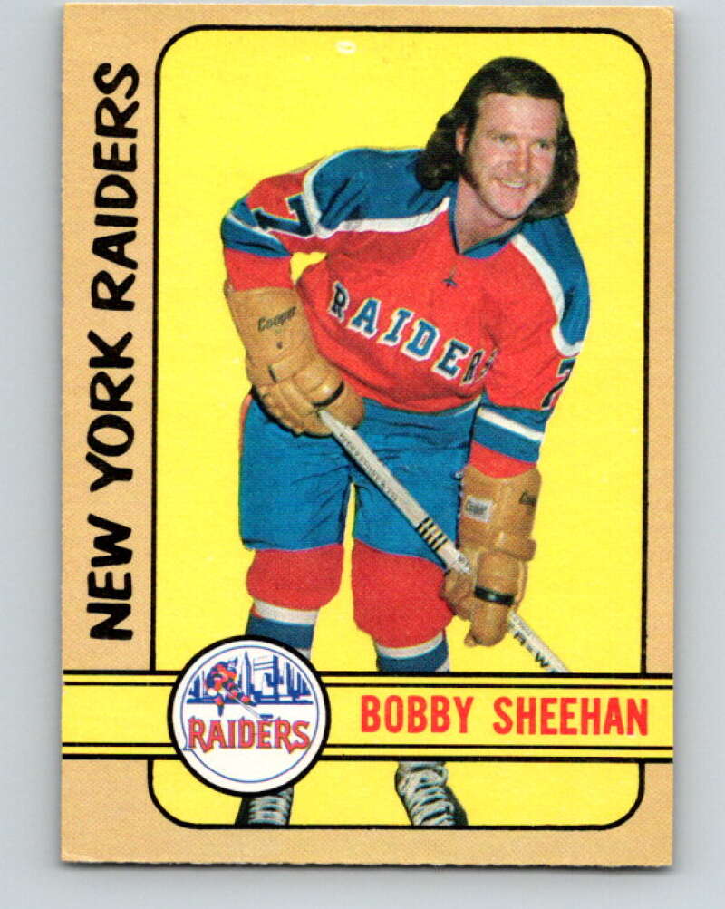1972-73 WHA O-Pee-Chee #297 Bobby Sheehan New York Raiders V6943