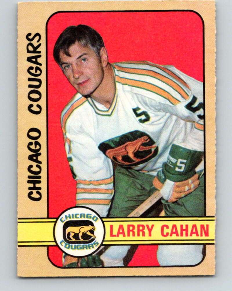 1972-73 WHA O-Pee-Chee #307 Larry Cahan Chicago Cougars V6956