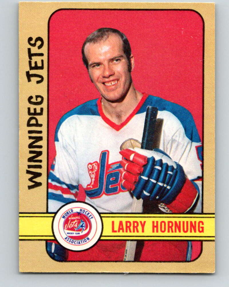 1972-73 WHA O-Pee-Chee #317 Larry Hornung RC Rookie Winnipeg Jets V6972