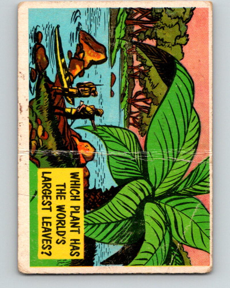 1957 Topps Isolation Booth #79 Which plant has the world's largest leaves? V7357