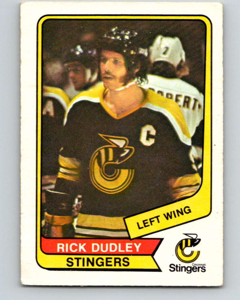 1976-77 WHA O-Pee-Chee #17 Rick Dudley Cincinnati Stingers V7656