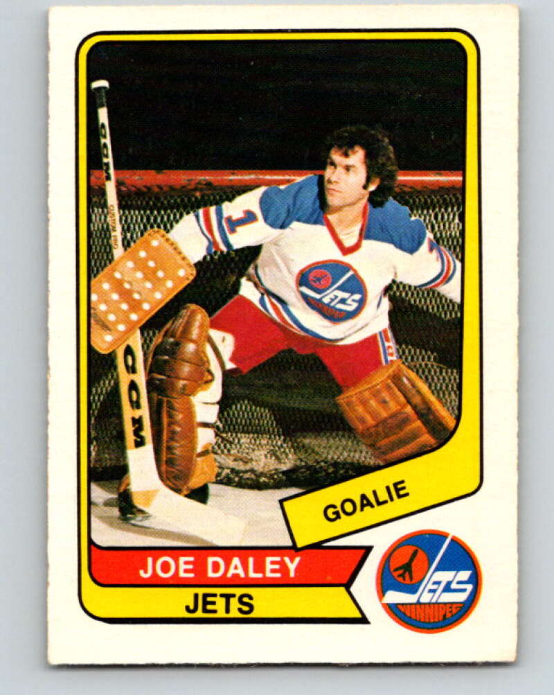1976-77 WHA O-Pee-Chee #20 Joe Daley Edmonton Oilers V7660