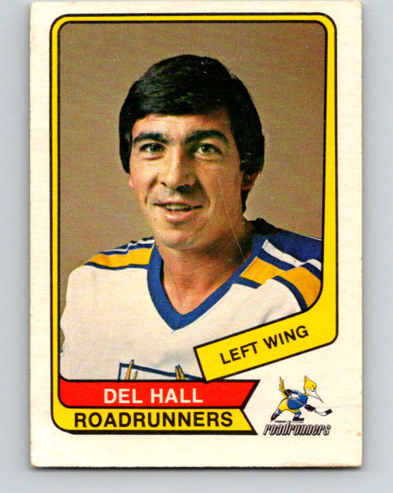 1976-77 WHA O-Pee-Chee #78 Del Hall RC Rookie Phoenix Roadrunners V7724