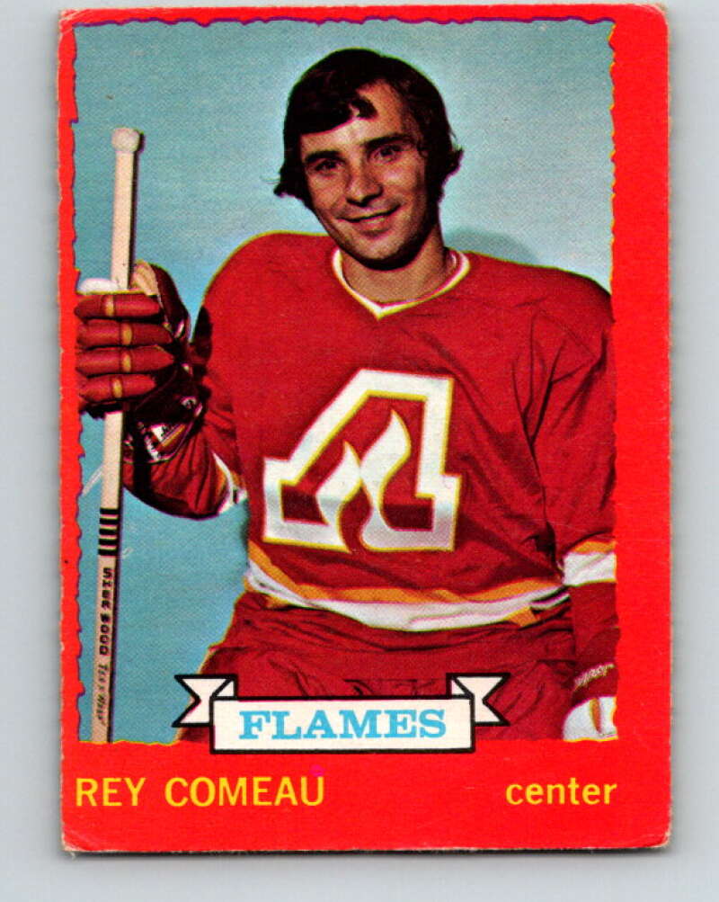 1973-74 O-Pee-Chee #29 Rey Comeau Atlanta Flames V8037