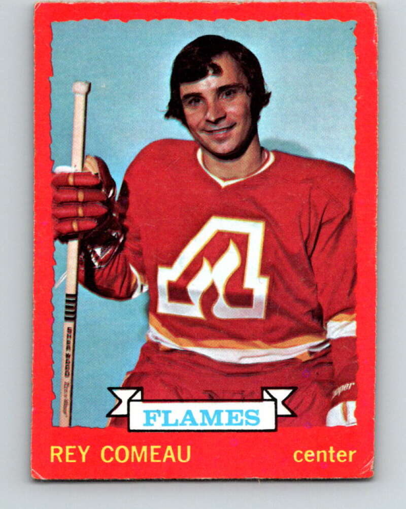 1973-74 O-Pee-Chee #29 Rey Comeau Atlanta Flames V8039
