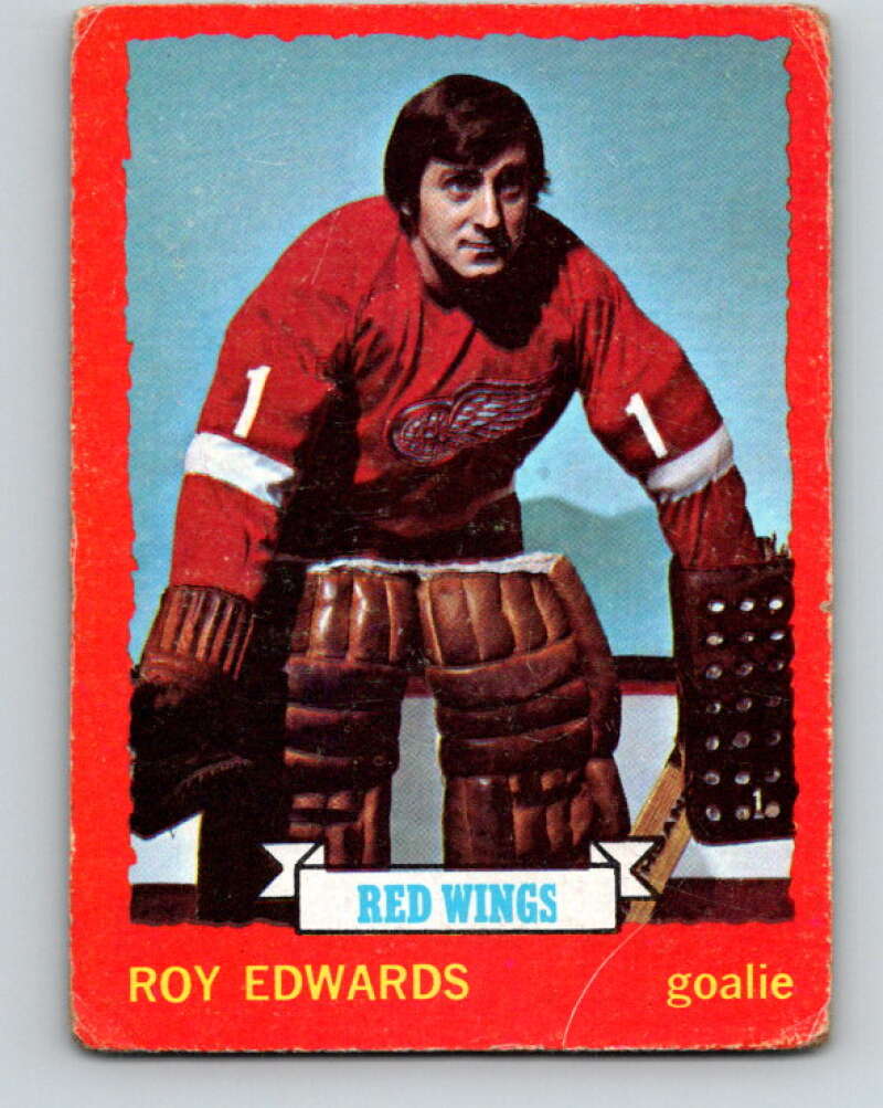1973-74 O-Pee-Chee #82 Roy Edwards Detroit Red Wings V8263