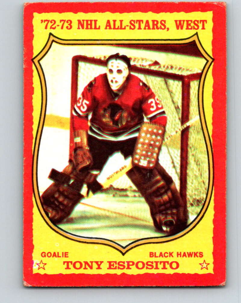 1973-74 O-Pee-Chee #90 Tony Esposito Chicago Blackhawks V8301