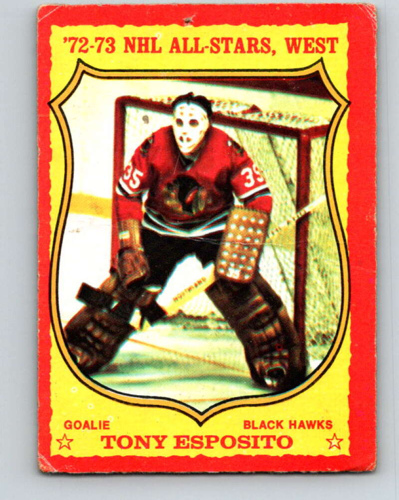 1973-74 O-Pee-Chee #90 Tony Esposito Chicago Blackhawks V8303