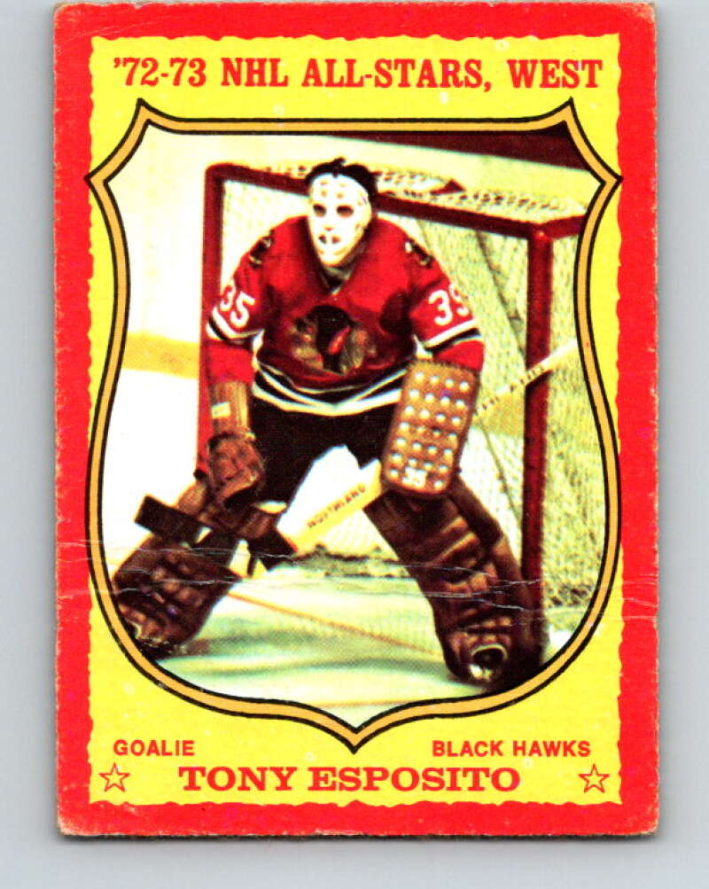 1973-74 O-Pee-Chee #90 Tony Esposito Chicago Blackhawks V8304