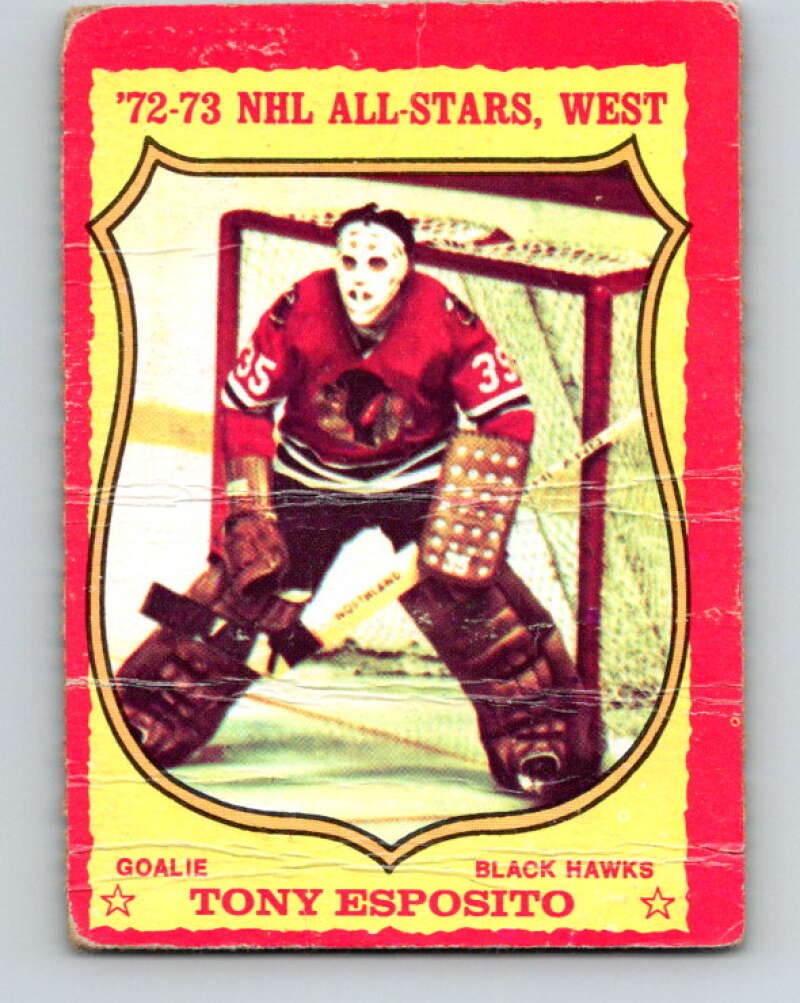 1973-74 O-Pee-Chee #90 Tony Esposito Chicago Blackhawks V8305