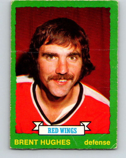 1973-74 O-Pee-Chee #184 Brent Hughes  Detroit Red Wings  V8511