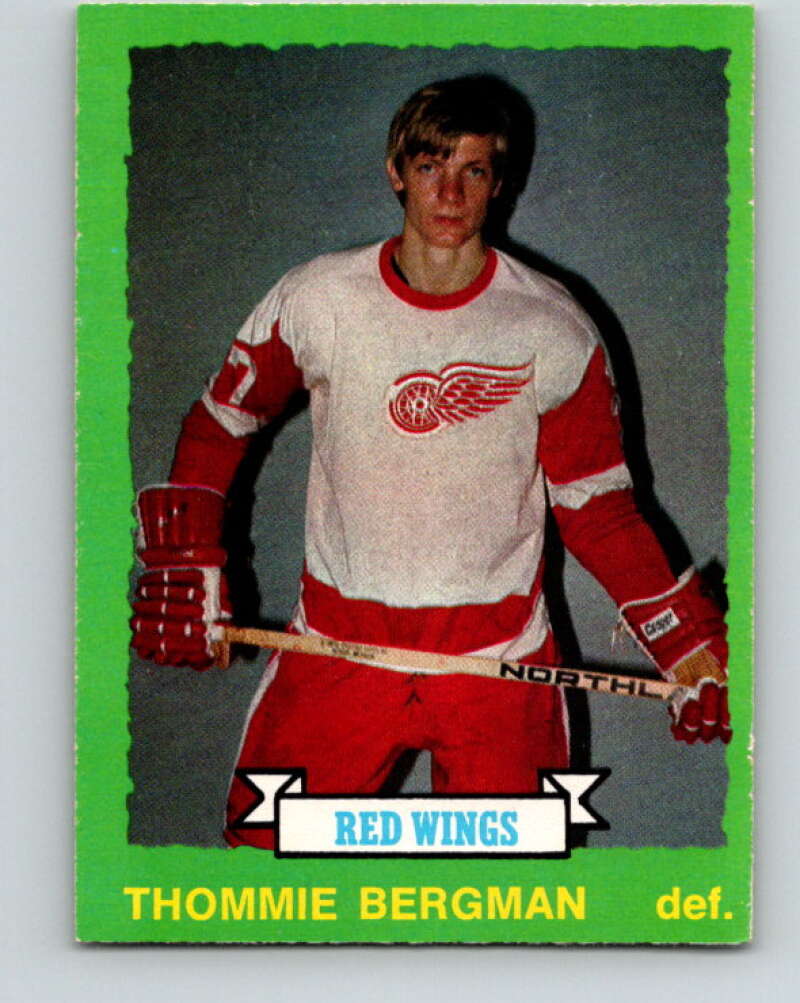 1973-74 O-Pee-Chee #204 Thommie Bergman RC Rookie Detroit V8549