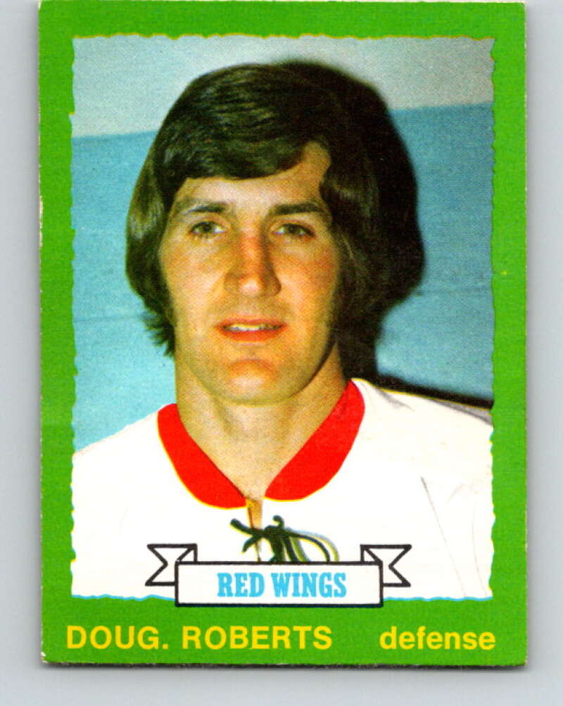 1973-74 O-Pee-Chee #207 Doug Roberts Detroit Red Wings V8554