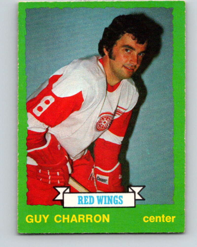 1973-74 O-Pee-Chee #220 Guy Charron Detroit Red Wings V8579