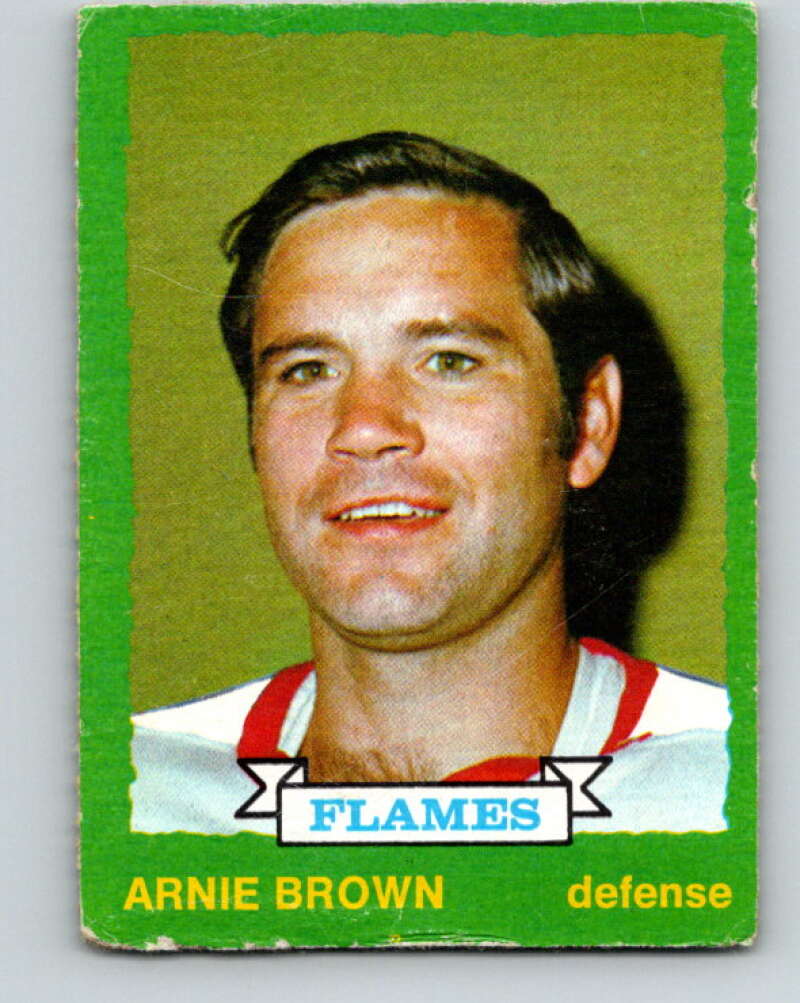 1973-74 O-Pee-Chee #225 Arnie Brown Atlanta Flames V8585