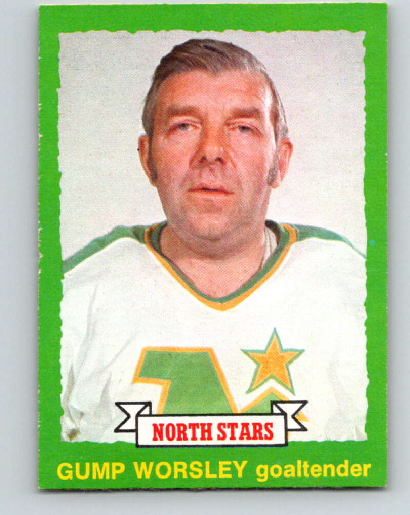 1973-74 O-Pee-Chee #230 Gump Worsley Minnesota North Stars V8594
