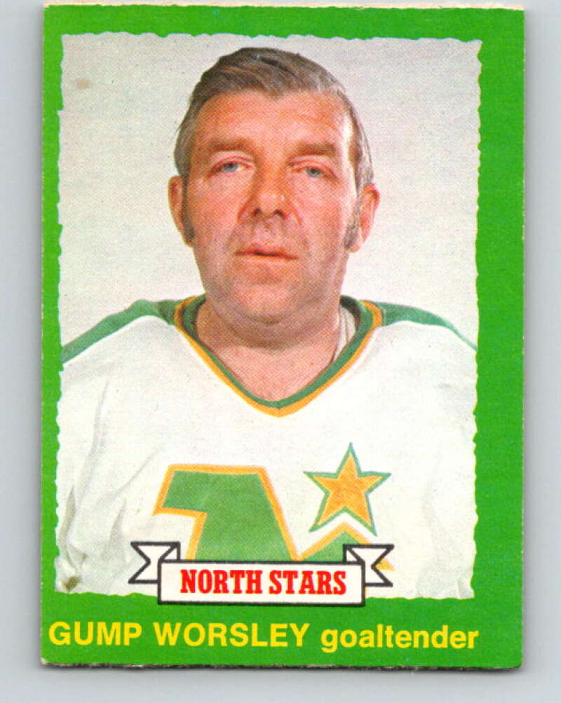 1973-74 O-Pee-Chee #230 Gump Worsley Minnesota North Stars V8595