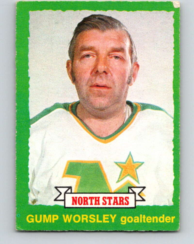 1973-74 O-Pee-Chee #230 Gump Worsley Minnesota North Stars V8596