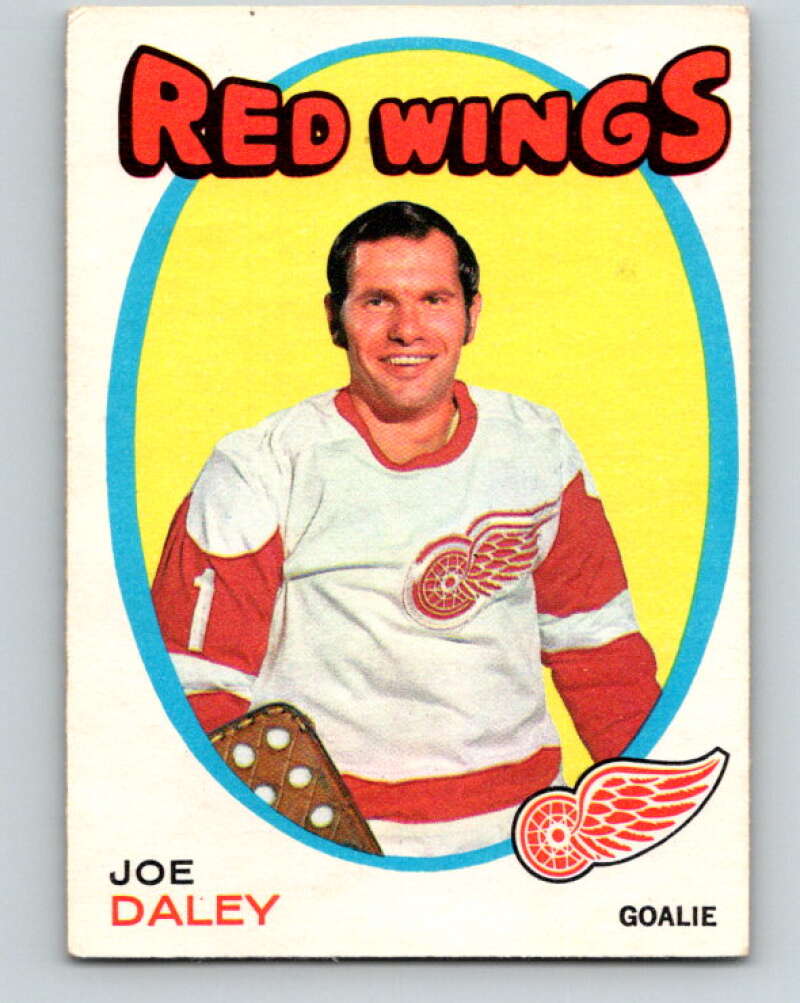 1971-72 O-Pee-Chee #137 Joe Daley Detroit Red Wings V9328
