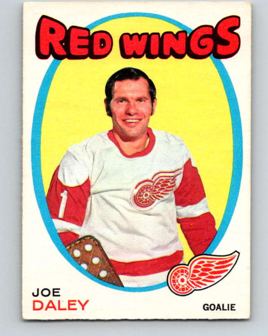 1971-72 O-Pee-Chee #137 Joe Daley  Detroit Red Wings  V9329