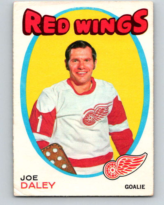 1971-72 O-Pee-Chee #137 Joe Daley  Detroit Red Wings  V9330