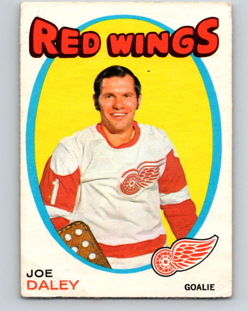 1971-72 O-Pee-Chee #137 Joe Daley Detroit Red Wings V9331