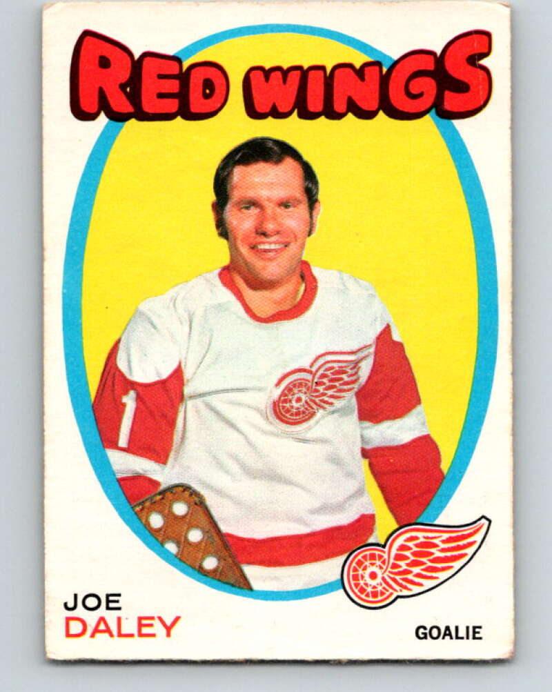 1971-72 O-Pee-Chee #137 Joe Daley Detroit Red Wings V9332