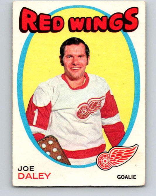 1971-72 O-Pee-Chee #137 Joe Daley  Detroit Red Wings  V9333