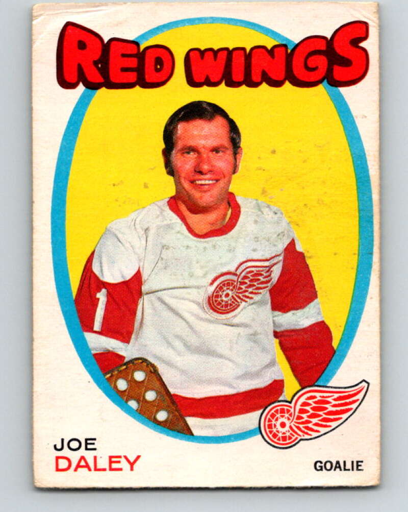 1971-72 O-Pee-Chee #137 Joe Daley Detroit Red Wings V9334