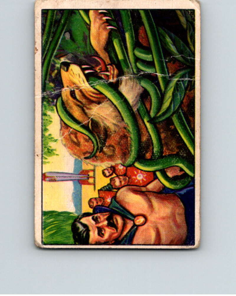 1951 Bowman Jets Rockets Spacemen #45 Octoplant Thwarts Attack V10196