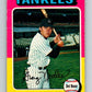 1975 O-Pee-Chee MLB #160 Graig Nettles  New York Yankees  V10585