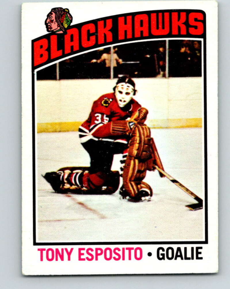 1976-77 O-Pee-Chee #100 Tony Esposito Chicago Blackhawks V12557