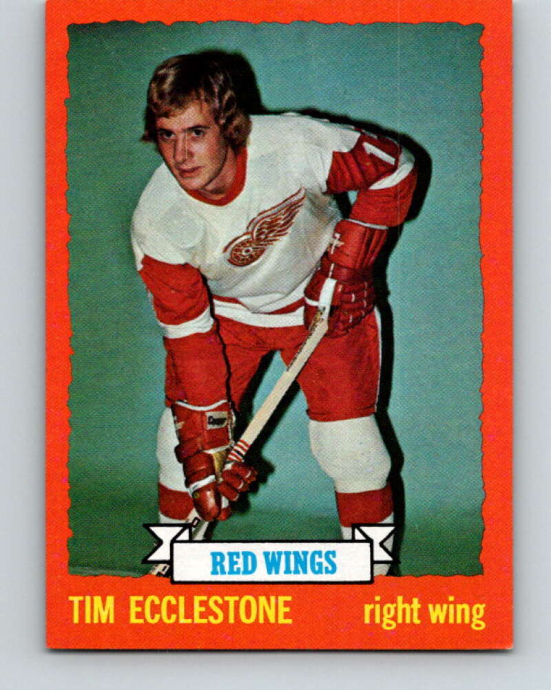 1973-74 Topps #124 Tim Ecclestone Detroit Red Wings V16668