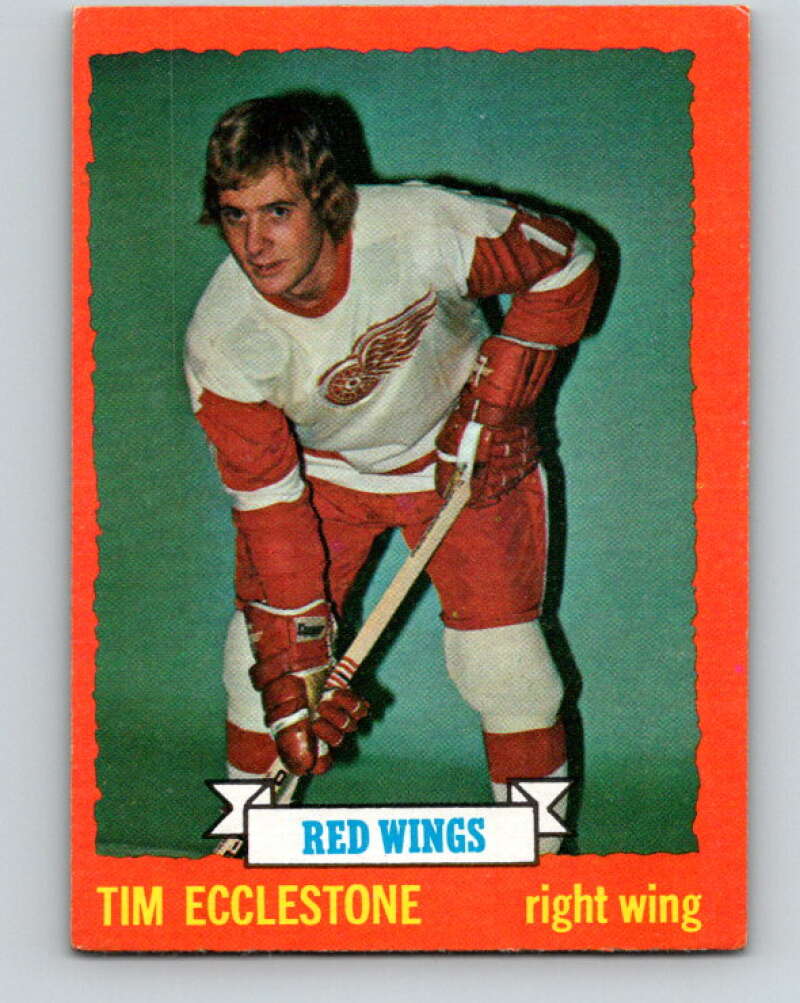 1973-74 Topps #124 Tim Ecclestone Detroit Red Wings V16669
