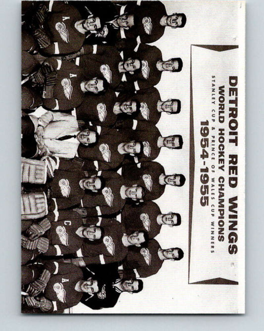 1992-93 High Liner Stanley Cup #18 Detroit Red Wings   V33155