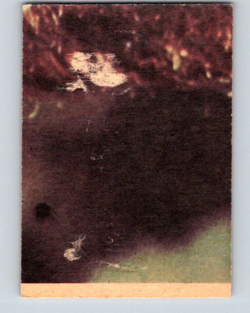 1977 OPC Star Wars #104 Luke's uncle and aunt V34226