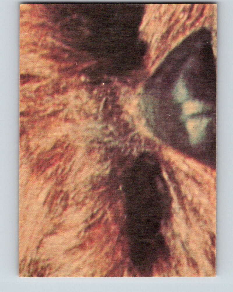 1977 OPC Star Wars #114 Planning to escape! V34287