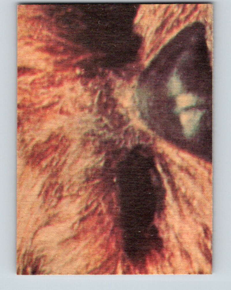 1977 OPC Star Wars #114 Planning to escape! V34288