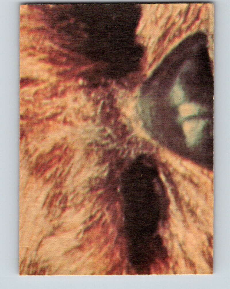1977 OPC Star Wars #114 Planning to escape! V34290