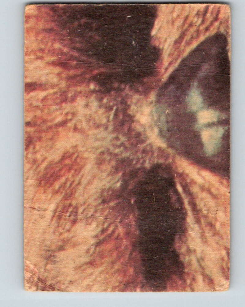 1977 OPC Star Wars #114 Planning to escape! V34291