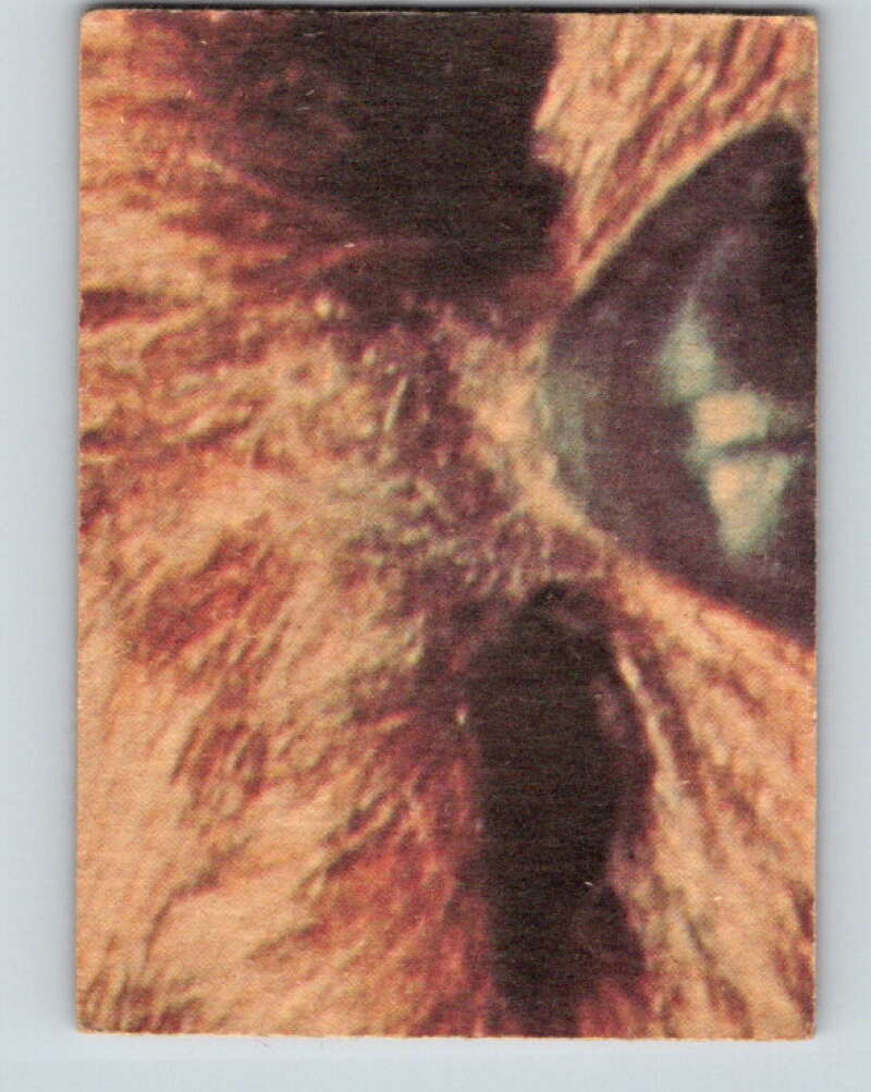 1977 OPC Star Wars #114 Planning to escape! V34292