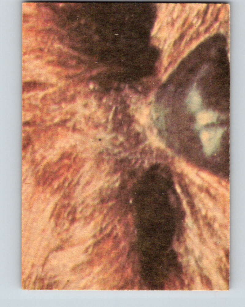 1977 OPC Star Wars #114 Planning to escape! V34293