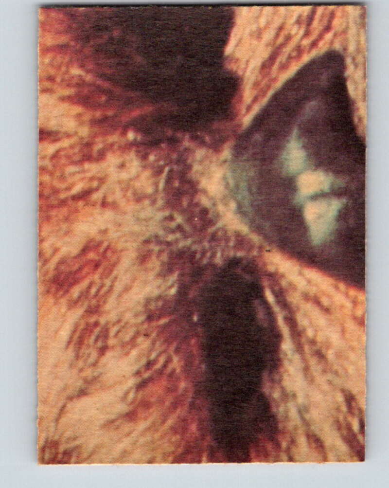 1977 OPC Star Wars #114 Planning to escape! V34294