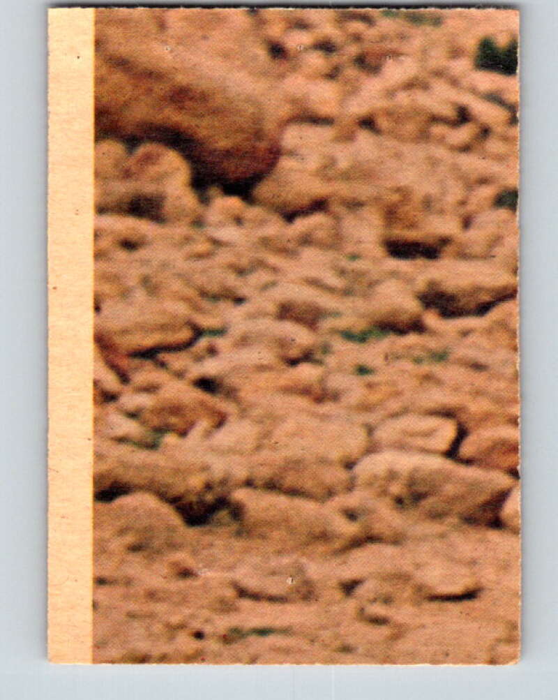 1977 OPC Star Wars #117 Chewbacca poses as a prisoner! V34313