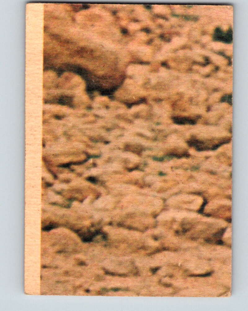 1977 OPC Star Wars #117 Chewbacca poses as a prisoner! V34318