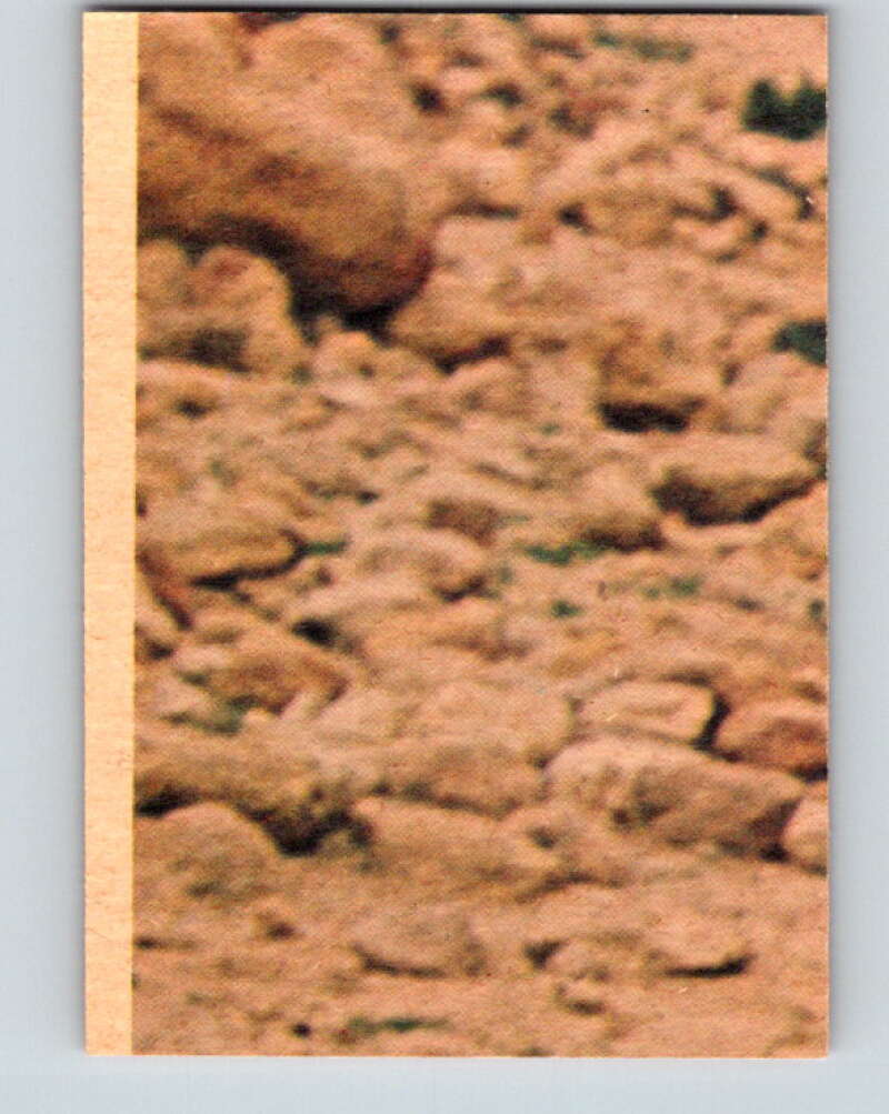 1977 OPC Star Wars #117 Chewbacca poses as a prisoner! V34320