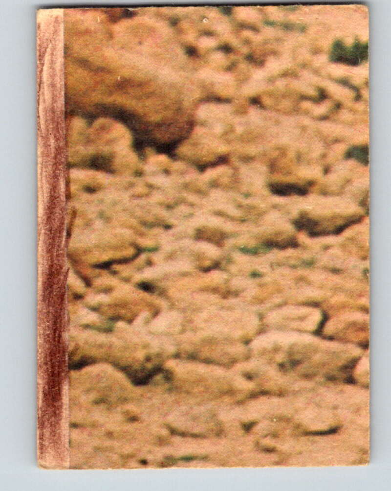 1977 OPC Star Wars #117 Chewbacca poses as a prisoner! V34323