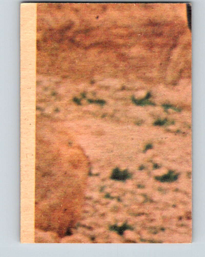 1977 OPC Star Wars #125 Luke in disguise! V34390
